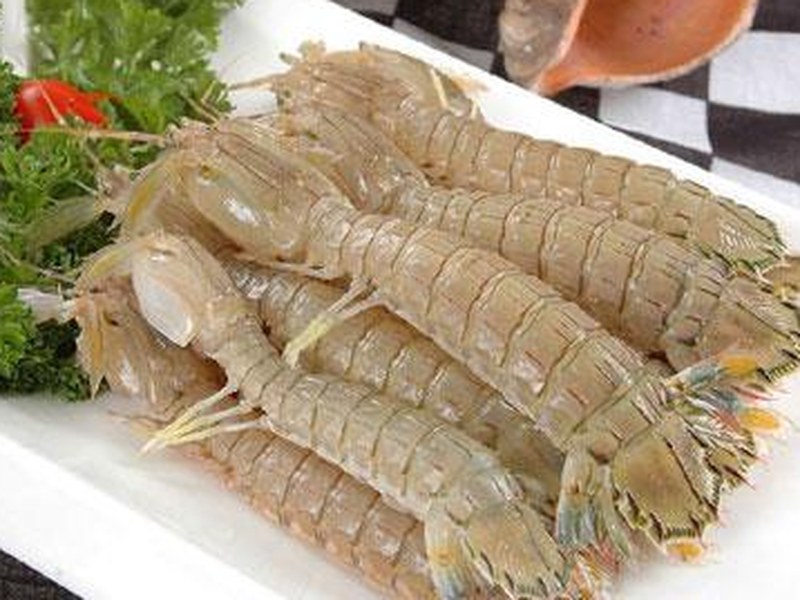 皮皮虾