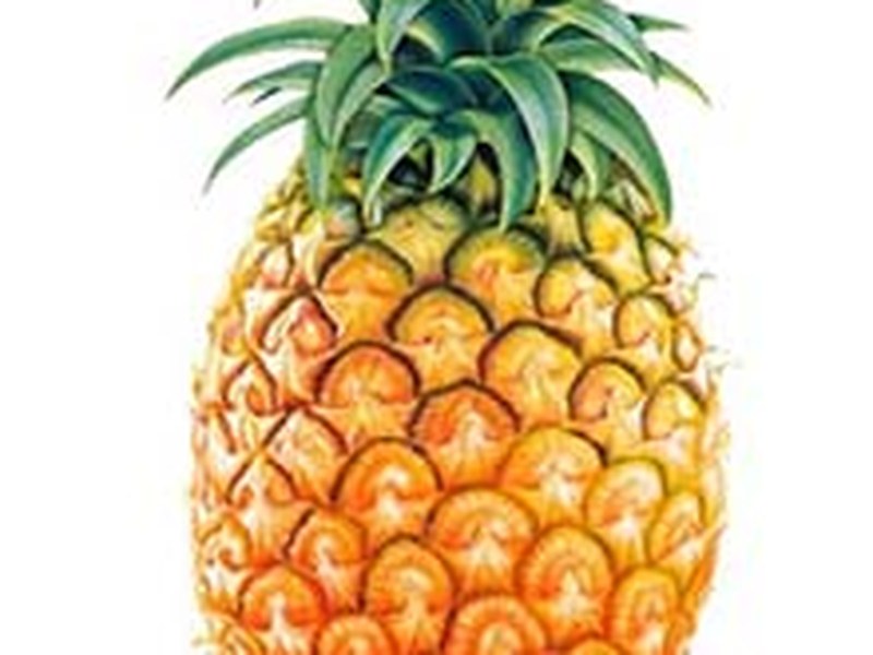 菠萝