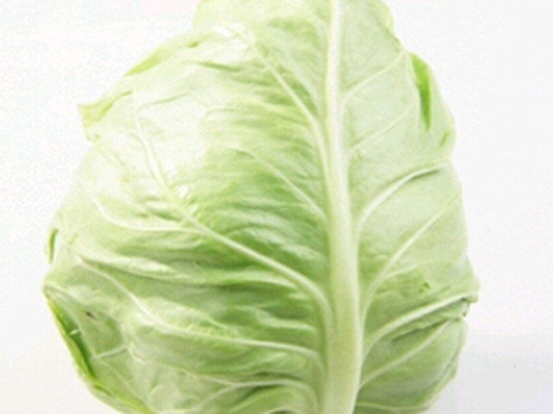 牛心菜