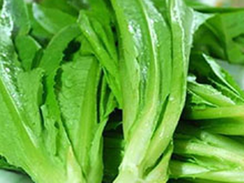 油麦菜