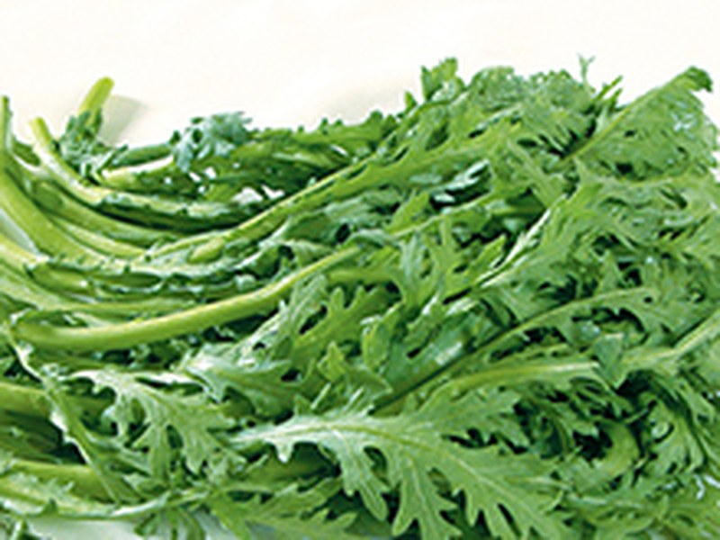 茼蒿