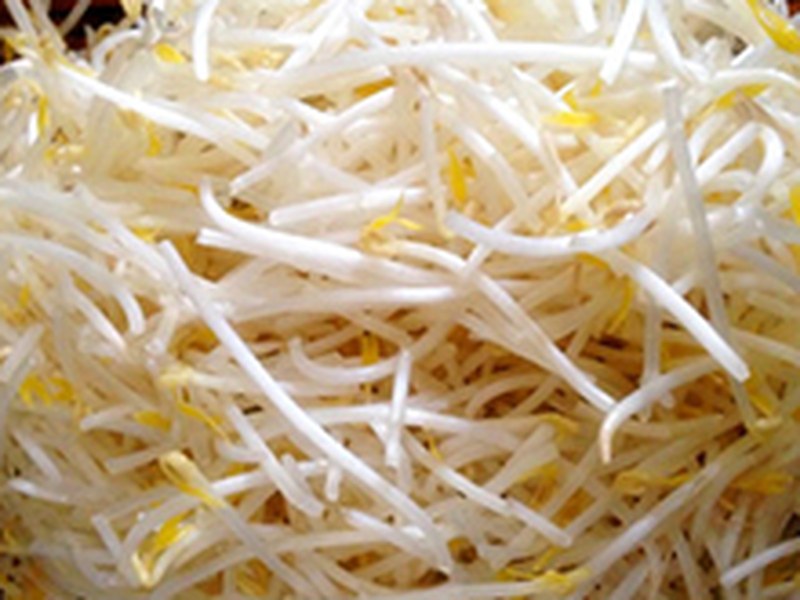 绿豆芽
