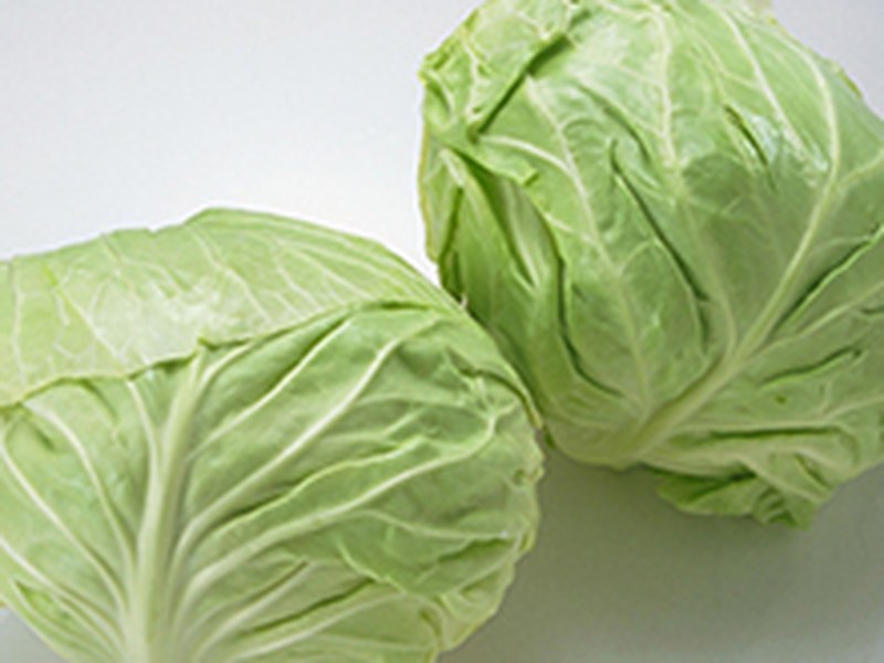 包菜