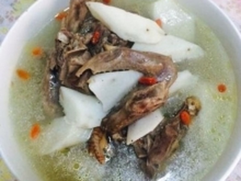 山药炖鸽子汤