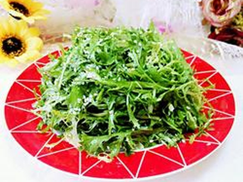 凉拌苦菊