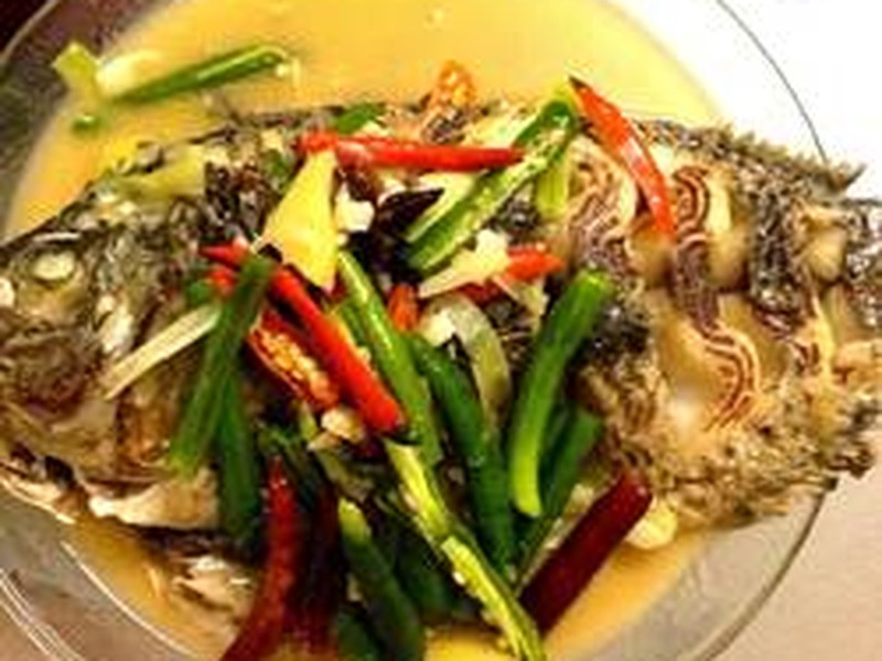 红烧水煮福寿鱼