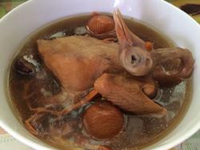 白鸽汤